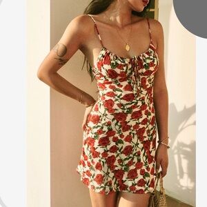 BNWT sheer lined rose dress